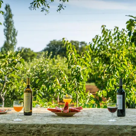 Natasa By Interhome Stankovci (Zadar)